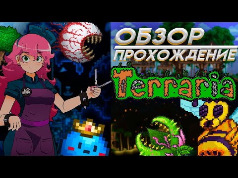 Видео: ▶  ОБЗОР/ПРОХОЖДЕНИЕ | Terraria  ◀