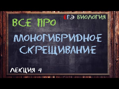 Видео: Л.4 | МОНОГИБРИДНОЕ СКРЕЩИВАНИЕ | ГЕНЕТИКА | ОБЩАЯ БИОЛОГИЯ ЕГЭ