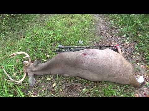 Видео: День открытия 10 баллов - 3 Inch Swhacker