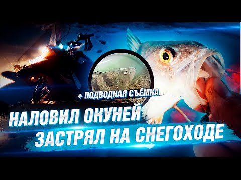 Видео: За окунем с подводной камерой. Застрял на снегоходе и наловил окуня на блесну