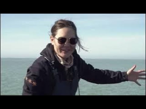 Видео: ОЗЕРО БАЛХАШ 2023 ВОЛШЕБСТВО РЫБАЦКОГО ПУТЕШЕСТВИЯ С JEYRAN! ПУСТЫНЕХОД, КОСТРЫ И БЕСКРАЙНИЕ ЭМОЦИИ!