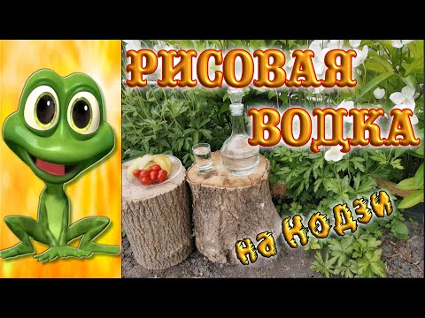 Видео: Домашняя рисовая водка.  Проще некуда.
