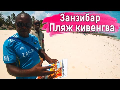 Видео: ЗАНЗИБАР. Пляж Кивенгва. Что ожидает туриста на пляже?