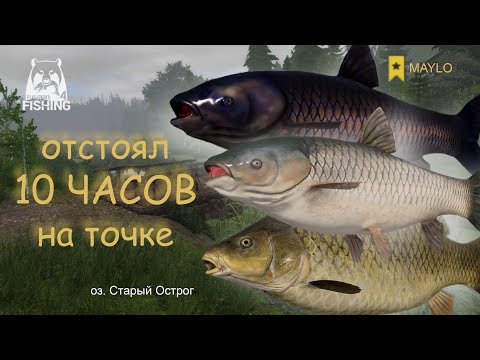 Видео: Фул садок трофеев за 10 часов на точке | Русская Рыбалка 4 | РР4 MAYLO