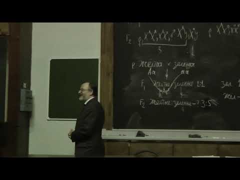 Видео: Решение задач по генетике. Часть 2. Асеев В.В. 8.11.2014 edit