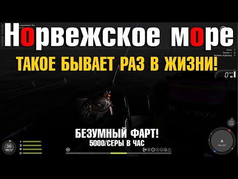 Видео: Такое бывает раз в жизни • Безумный фарт • 5000/серы в час • Русская Рыбалка 4 • Норвежское Море