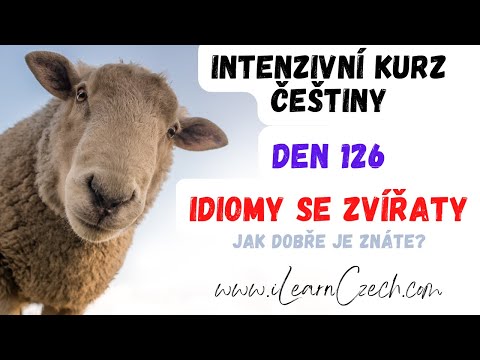 Видео: Курс чешского 126: Вы знаете идиомы с животными?