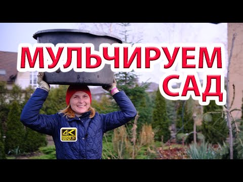 Видео: Мульчирование корой сада. Наш опыт и работа над ошибками.