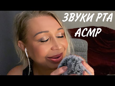 Видео: АСМР Звуки Рта | Меховая ветрозащита | ASMR Mouth Sounds