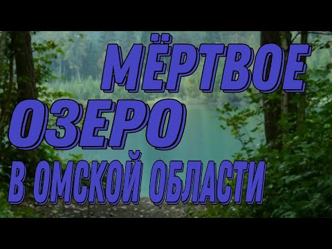 Видео: ЖИРУХЕ ПОСВЯЩАЮ.МОЮ ЗРИТЕЛЬНИЦУ-ПРЕДУПРЕЖДАЮ❗️❗️❗️❌️❌️❌️