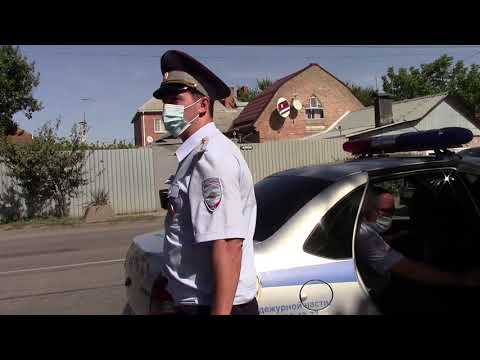 Видео: Хищник защищает кормушку. Как лишаются прав на ровном месте!