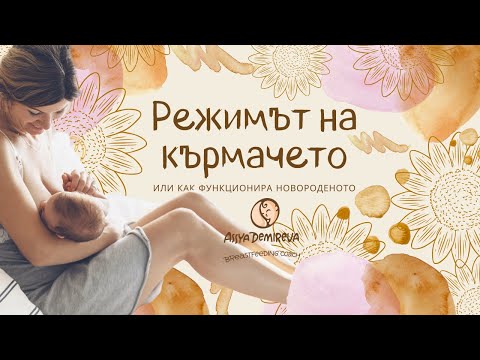 Видео: Режимът на кърмачето. Или как функционира новороденото. Кърменето с Ася 🤱🏻