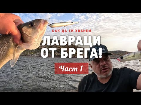 Видео: Как да си хванем лавраци от брега? / Лимнос и ЛАВРАЦИТЕ - 1 част