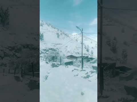 Видео: 5 ноября 2025 г.