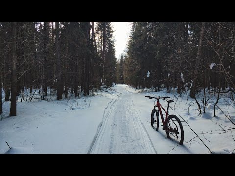 Видео: Велосипед на снегоходках - редко, но стоит того