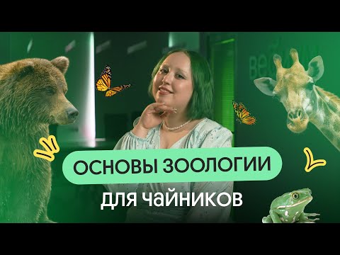 Видео: ОСНОВЫ ЗООЛОГИИ ДЛЯ ЧАЙНИКОВ 🦓🐸🦁 | ОГЭ по биологии 2024