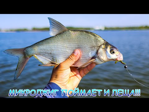 Видео: МИКРОДЖИГ с лодки ранним утром! Поймал всё что было в воде!!!