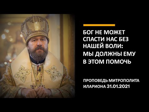 Видео: Бог не может спасти нас без нашей воли: мы должны Ему в этом помочь