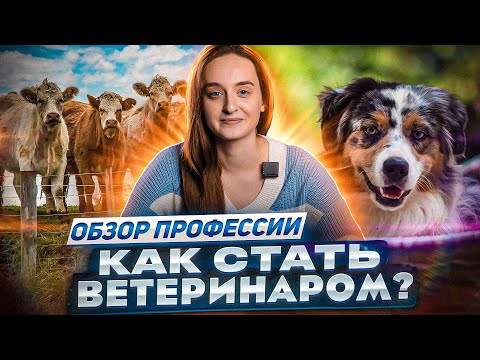 Видео: Профессия ветеринар 🐈 : где учиться, сколько можно зарабатывать, ПЛЮСЫ и МИНУСЫ профессии