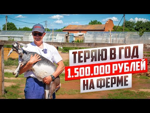 Видео: Ферма, которая не стала бизнесом. Почему я ее не закрываю?