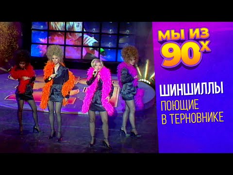 Видео: Шиншиллы - Поющие в терновнике (Концерт СОЮЗ 21, 1997) @мыиз90х