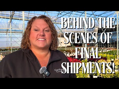 Видео: 🍂 Последние дни доставки 🚚 | Почему осень ВСЕ ЕЩЕ идеальное время для посадки! 🌱✨