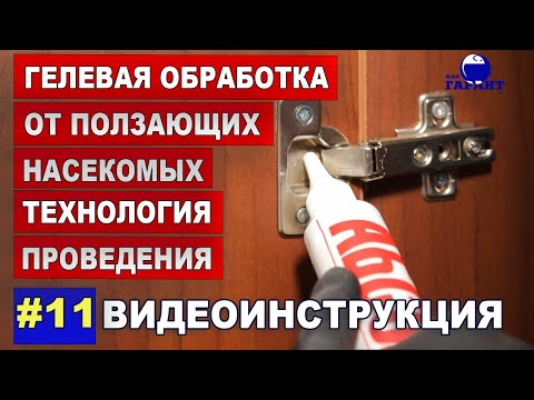 Видео: Гелевая обработка помещений от ползающих насекомых. Технология проведения. Видеоинструкция.