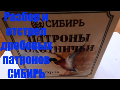 Видео: Разбор и отстрел патронов СИБИРЬ, в контейнере