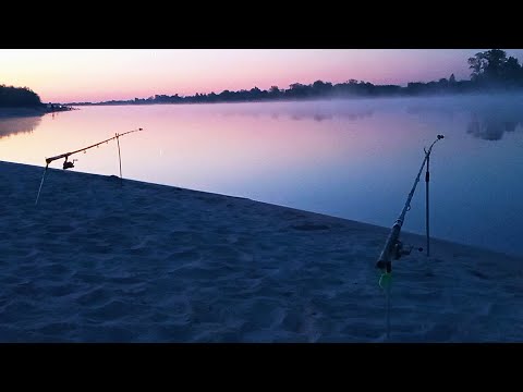 Видео: РЫБАЛКА на ДОНУ. БЕШЕНЫЙ КЛЁВ! Гибрид,лещ на пробку.