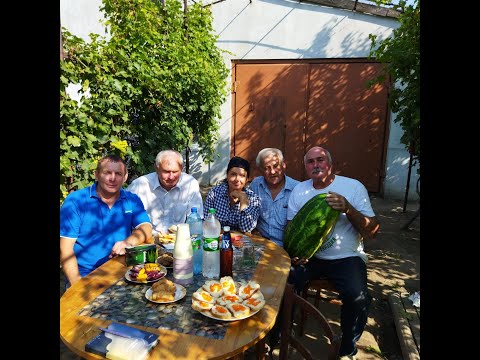 Видео: #69 В гостях у селекционера Щенникова Олега Николаевича. Ознакомление с новыми г/ф (17.08.2021)