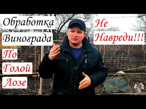 Видео: Обработка винограда по голой лозе - не НАВРЕДИ!!!