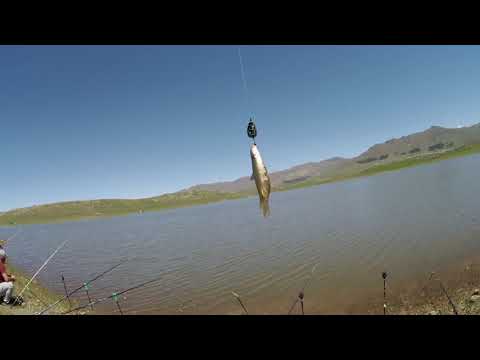 Видео: В Армении круче чем в Альпах!!!