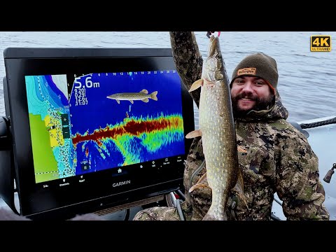 Видео: Щука с Panoptix LiveScope. Танцы с бубном продолжаются