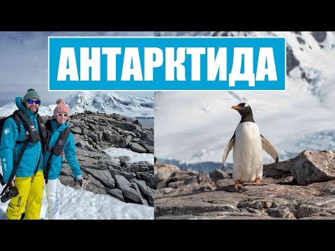 Видео: АНТАРКТИДА - как мы сходили в люксовый КРУИЗ