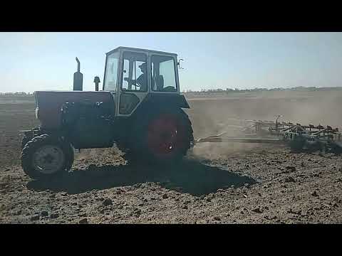 Видео: Культивація між обстрілами. ЮМЗ