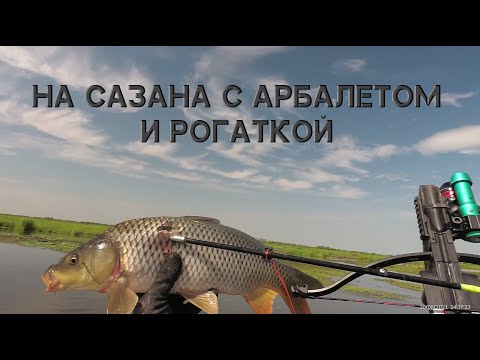 Видео: НЕЗАБЫВАЕМЫЙ ДЕНЬ ОХОТЫ НА САЗАНА И ЗМЕЕГОЛОВА на реке КРАСНАЯ (20 августа 2021 года).