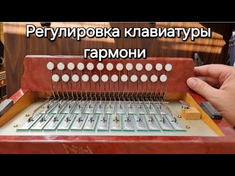 Видео: Ремонт клавиатуры гармони.