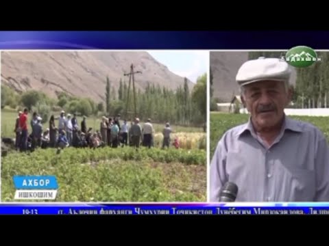 Видео: АХБОР АЗ НОХИЯИ ИШКОШИМ