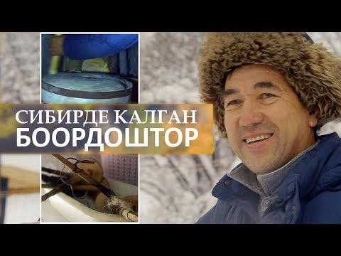 Видео: Сибирде калган боордоштор