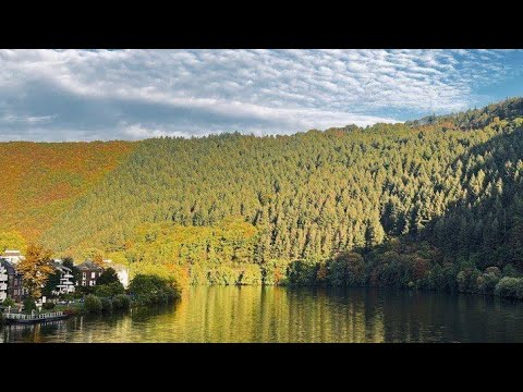 Видео: Урок 82. Массаж  стоп"Гора Желаний"