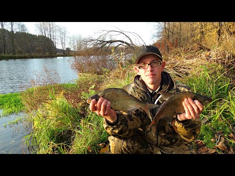 Видео: Ловля леща осенью на реке.Фидер