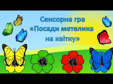 Видео: Сенсорна гра " Посади метелика на квітку" для дітей раннього віку.