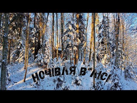 Видео: Ночівля в дикому лісі зимою. -10*