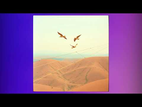 Видео: Іван Франко - На те птахам крила (1910)