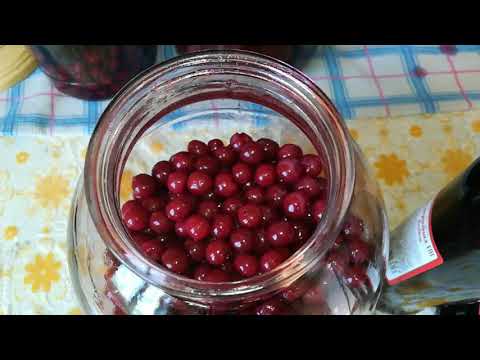Видео: Вишнёвая НАЛИВКА. Что в итоге получилось.