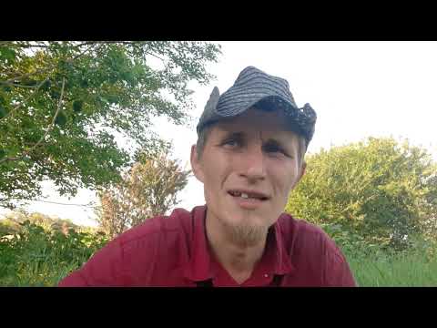 Видео: Сенокос по-новому и быстрая заготовка сена.