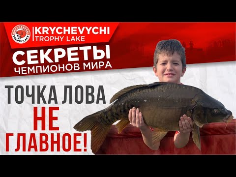 Видео: Рыбалка на карпа. Точка лова - не главное.