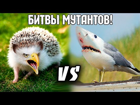 Видео: Крафтим Мутантов! - Mutant Fighting Cup