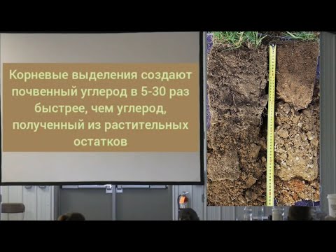 Видео: Как СОЗДАТЬ ПОЧВУ. Кристин Джонс.