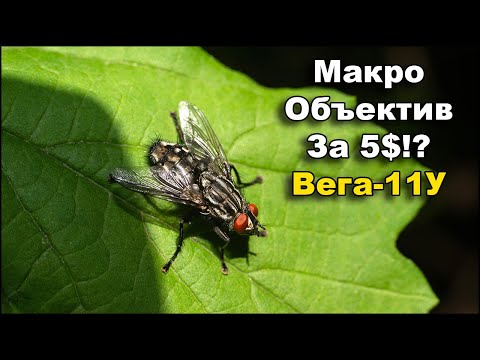 Видео: Макро объектив Вега-11У 50мм F2,8